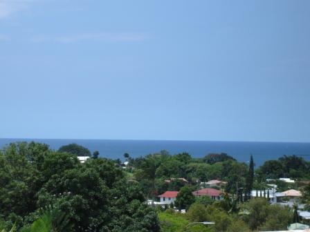 clear Hilo